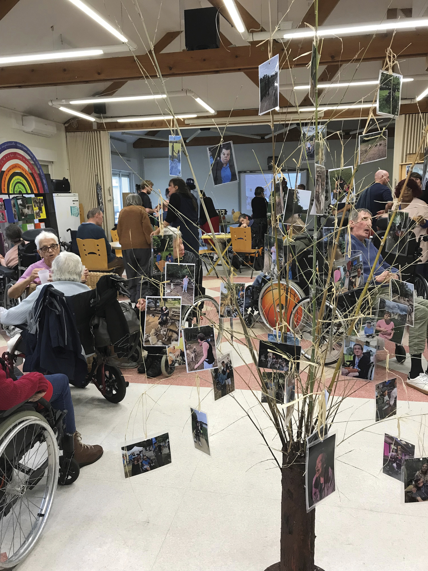 P6 Familles à la MAS